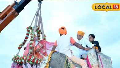 हाथी पर आया भाई, क्रेन से उतरी बहन, जोधपुर के इस अनोखे मायरे की रस्म ने जीता सबका दिल