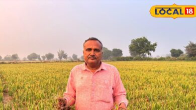 Alwar Farmer Grows Organic Onions Using Neem, Chhachh & Camphor