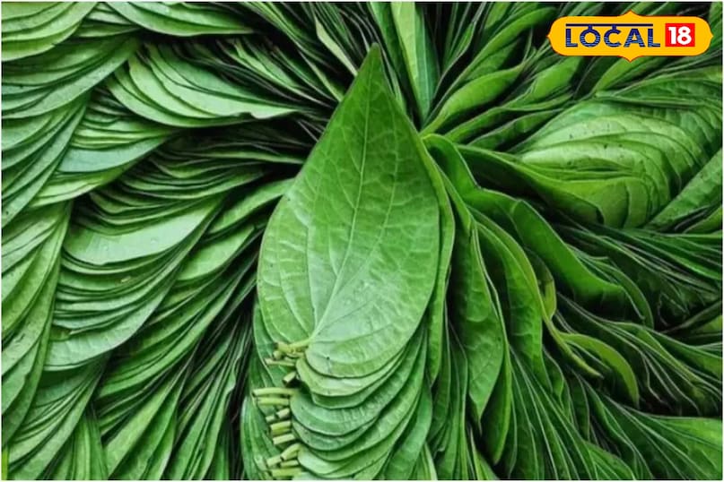 पान पत्ता 