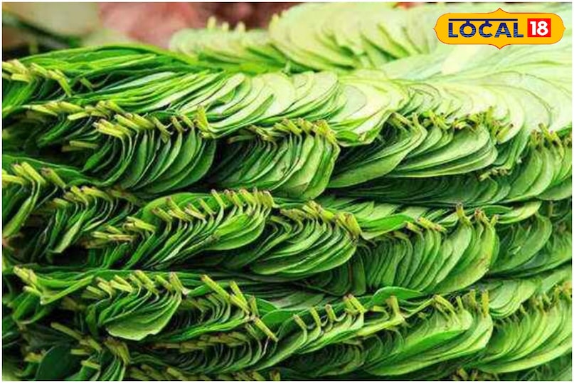 पान पत्ता 