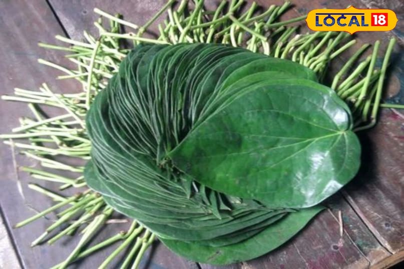 पान पत्ता 