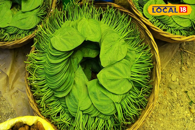 पान पत्ता 