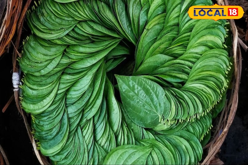 पान पत्ता 