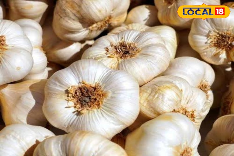 इसके लिए दोमट मिट्टी सबसे उपयुक्त होती है इसके लिए दोमट मिट्टी सबसे उपयुक्त होती है