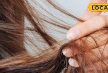 Winter Hair Care Tips | Dry Hair Remedies | Shiny Hair Hacks | Natural Hair Mask | Hair Care in Winter | Smooth Hair Remedies | Beauty Tips for Hair | Winter Hair Treatment | Hair Fall Control Tips