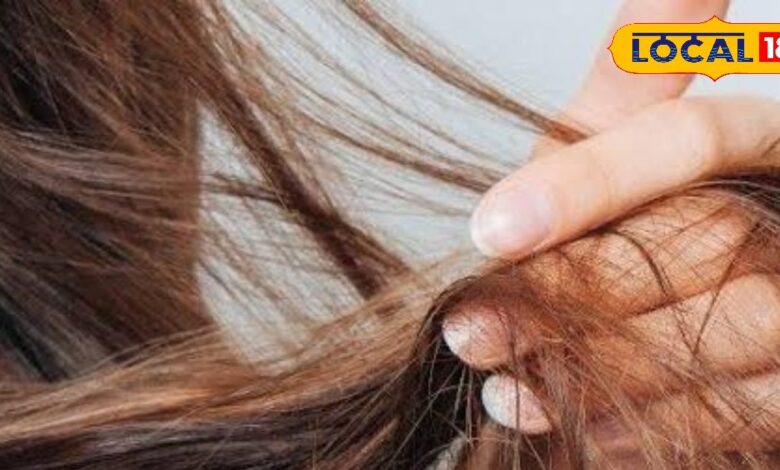 Winter Hair Care Tips | Dry Hair Remedies | Shiny Hair Hacks | Natural Hair Mask | Hair Care in Winter | Smooth Hair Remedies | Beauty Tips for Hair | Winter Hair Treatment | Hair Fall Control Tips