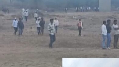 राजस्थान-एमपी बॉर्डर पर वन्यजीवों का कहर, करौली में टाइगर और मुरैना में मगरमच्छ का हमला, लोगों में दहशत