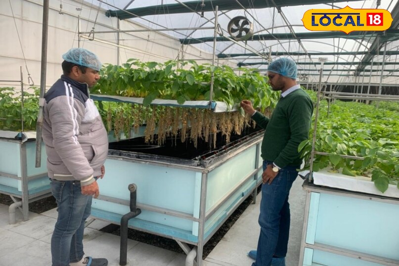 agriculture News 