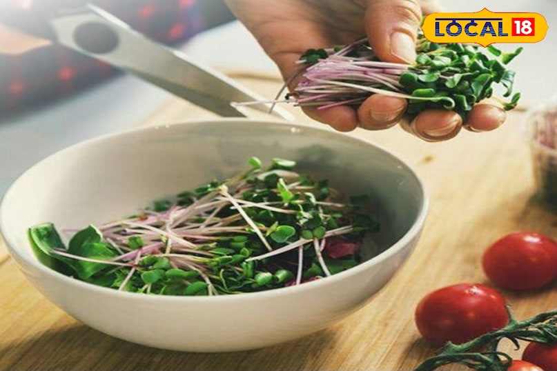 बीज बोना: भीगे हुए बीजों का पानी निकाल दें और उन्हें हल्के से कुल्ला कर लें। इन बीजों को तैयार माध्यम की सतह पर समान रूप से और सघनता से बिखेर दें। बीज एक-दूसरे को छू सकते हैं लेकिन एक-दूसरे के ऊपर जमा हुए नहीं होने चाहिए। बीज बोने के बाद, हल्के हाथ से एक चपटी चम्मच या प्रेशर कुकर की सीटी से बीजों को हल्का सा दबाएँ। इससे बीजों को मिट्टी से संपर्क बनाने में मदद मिलती है।