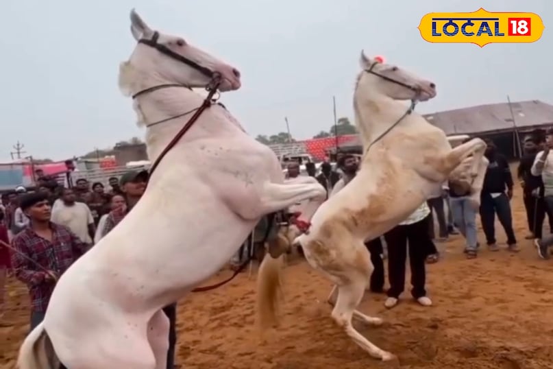 पुष्कर मेला 2025