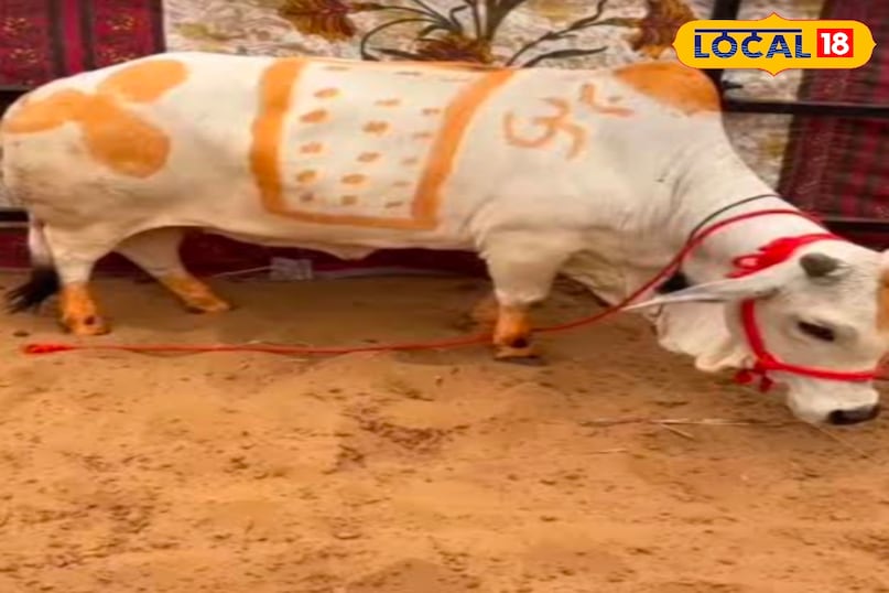 पुष्कर मेला 2025