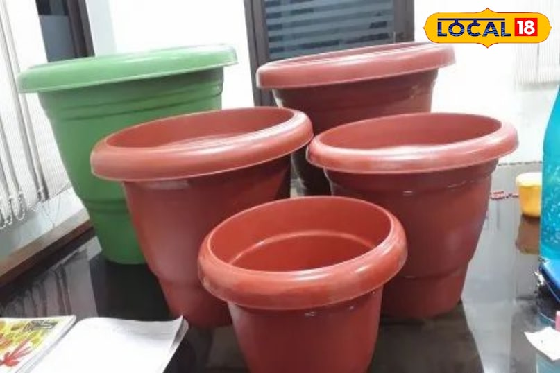 गमला और मिट्टी का रखें खास ख्याल गमला कम से कम 14-18 इंच गहरा हो और उसके तले में जल निकासी के छेद अवश्य हों। खट्टे फलों के पेड़ों की जड़ें गीली मिट्टी बर्दाश्त नहीं कर पातीं। मिट्टी का मिश्रण तैयार करने के लिए बराबर मात्रा में बगीचे की मिट्टी, कम्पोस्ट और मोटी बालू मिलाएं। हर महीने जैविक खाद या नीम की खल्ली डालकर पोषण देते रहें।