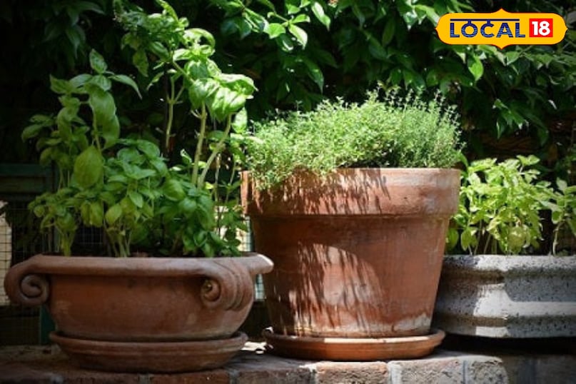 सर्दियों से बचाव 