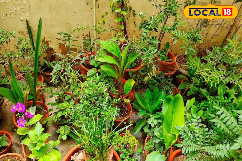 सर्दियों से बचाव 