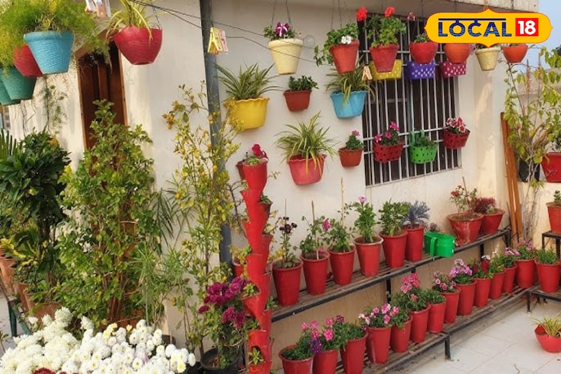 सर्दियों से बचाव 