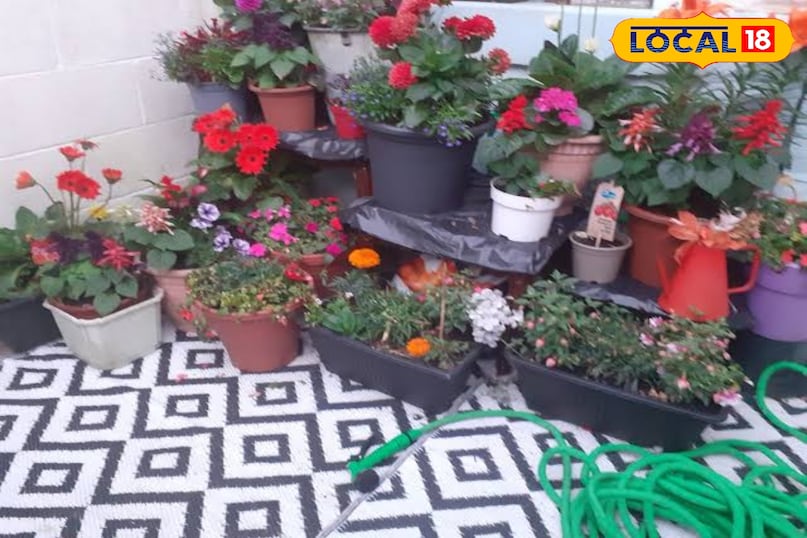 सर्दियों से बचाव 