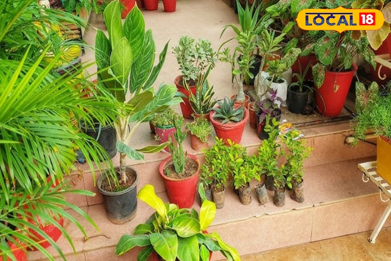 सर्दियों से बचाव 