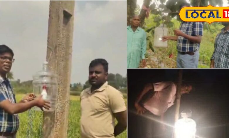 Low Cost Light Trap for Farmers Saves Crops from Insects