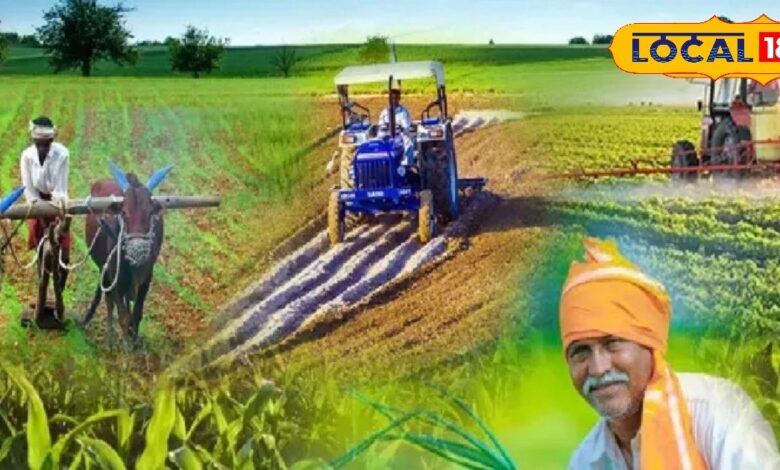 क्या आप भी सीखना चाहते हैं हाईटेक खेती के गुर? राजस्थान सरकार दे रही है मौका, 15 नवंबर तक यहां करें आवेदन