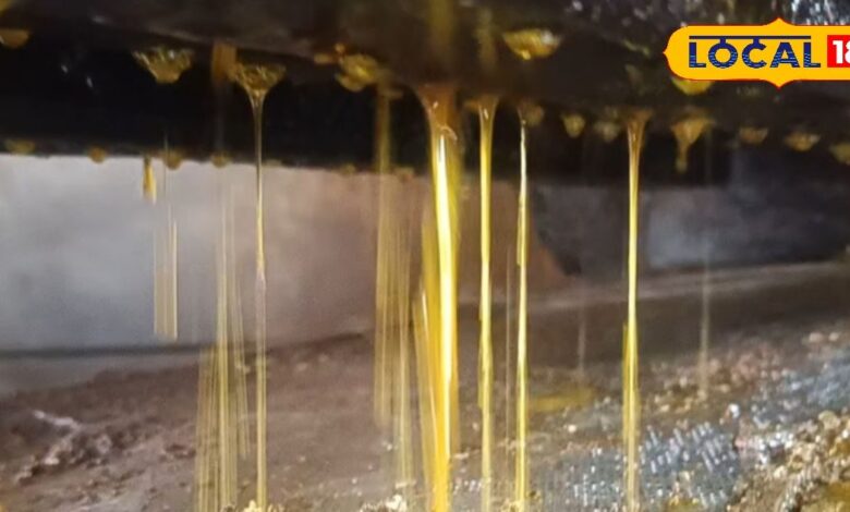 जयपुर में आज भी चल रहा 60 साल पुराना कच्ची घाणी तेल उद्योग