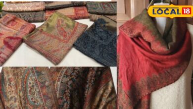 Tips and Tricks: सर्दियों में स्टाइलिश बनना है? तो ये शॉल टिप्स जरूर आजमाएं