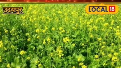 Mustard Crop Disease Alert and Protection Tips