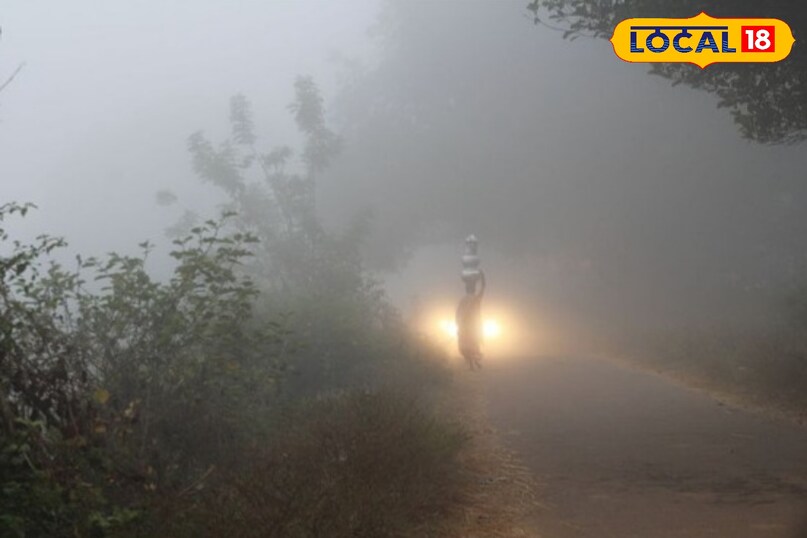 एक सर्दियों का स्वर्ग लांबासिंगी आंध्र प्रदेश के अनामलय पहाड़ियों में स्थित एक छोटा सा गाँव है जो समुद्र तल से लगभग 1,000 मीटर यानी 3,300 फीट की ऊँचाई पर बसा हुआ है। यह अपने आप में एक आश्चर्य है क्योंकि यह ऊँचाई आमतौर पर भारी बर्फबारी के लिए पर्याप्त नहीं मानी जाती। रहस्य यहाँ के अनोखे माइक्रोक्लाइमेट में छिपा है।