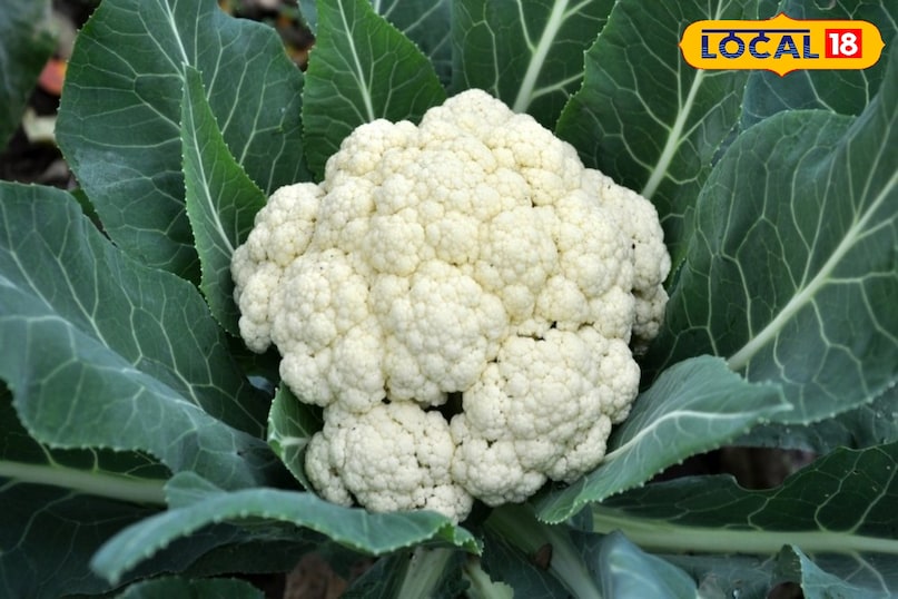 टिप्स एंड ट्रिक्स 