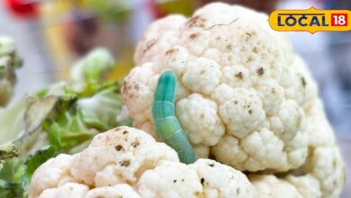 Tips and Tricks: स्वाद से पहले सफाई जरूरी, जानिए गोभी के छिपे कीड़ों को खत्म करने के आसान और घरेलू नुस्खे