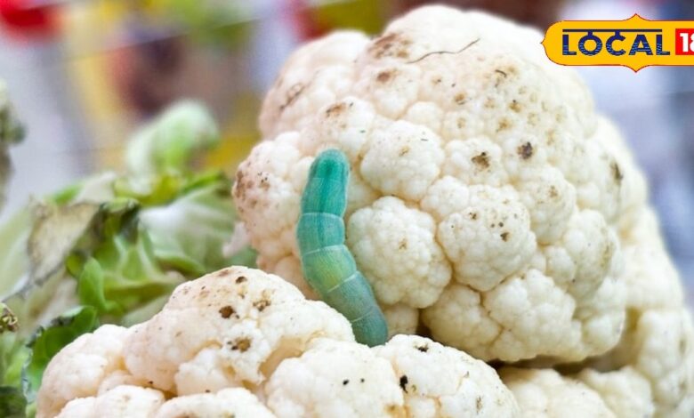 Tips and Tricks: स्वाद से पहले सफाई जरूरी, जानिए गोभी के छिपे कीड़ों को खत्म करने के आसान और घरेलू नुस्खे