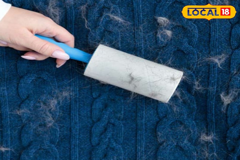 लिंट रिमूवर का इस्तेमाल बाज़ार में आसानी से मिलने वाला लिंट रिमूवर ऊनी कपड़ों के लिए बेहद उपयोगी है। यह विशेष रूप से रोएं हटाने के लिए बना होता है और कपड़ों को नया जैसा लुक देने में मदद करता है। लिंट रिमूवर का इस्तेमाल बाज़ार में आसानी से मिलने वाला लिंट रिमूवर ऊनी कपड़ों के लिए बेहद उपयोगी है। यह विशेष रूप से रोएं हटाने के लिए बना होता है और कपड़ों को नया जैसा लुक देने में मदद करता है।