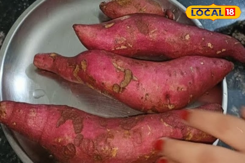 टिप्स एंड ट्रिक्स टिप्स एंड ट्रिक्स