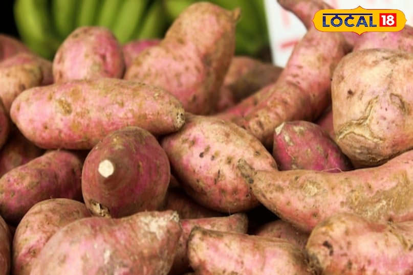 टिप्स एंड ट्रिक्स टिप्स एंड ट्रिक्स