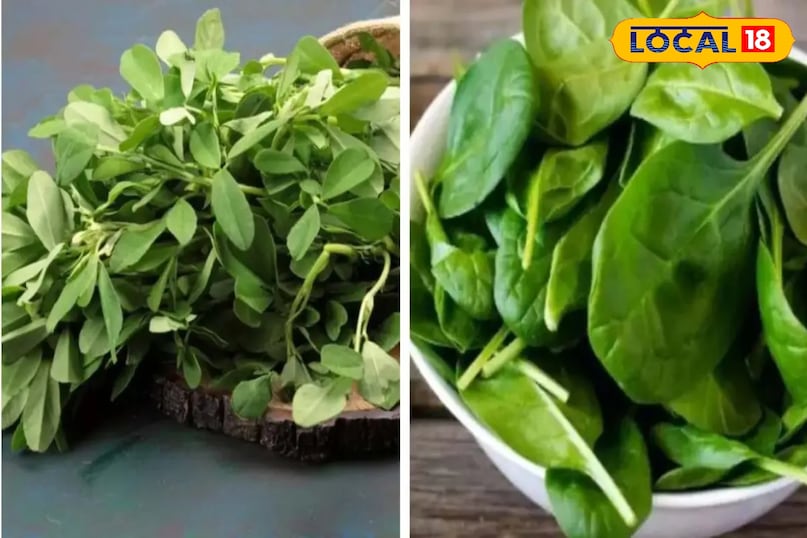 इससे सब्जियों की ताजगी बनी रहतीं है इससे सब्जियों की ताजगी बनी रहतीं है