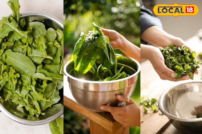 इसके साथ ही इसकी पत्तियां ताजी रहेगी इसके साथ ही इसकी पत्तियां ताजी रहेगी