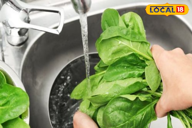 यह प्राकृतिक कीटनाशक का काम करता है यह प्राकृतिक कीटनाशक का काम करता है