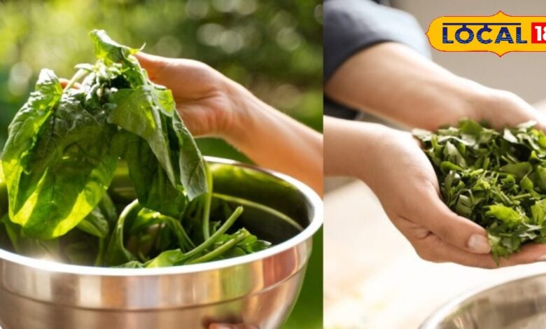 Spinach Cleaning Tips: कम मेहनत में ऐसे करें मैथी-पालक की डीप क्लीनिंग, अपनाएं ये ट्रिक्स, मिनटों में मिट्टी होगी गायब