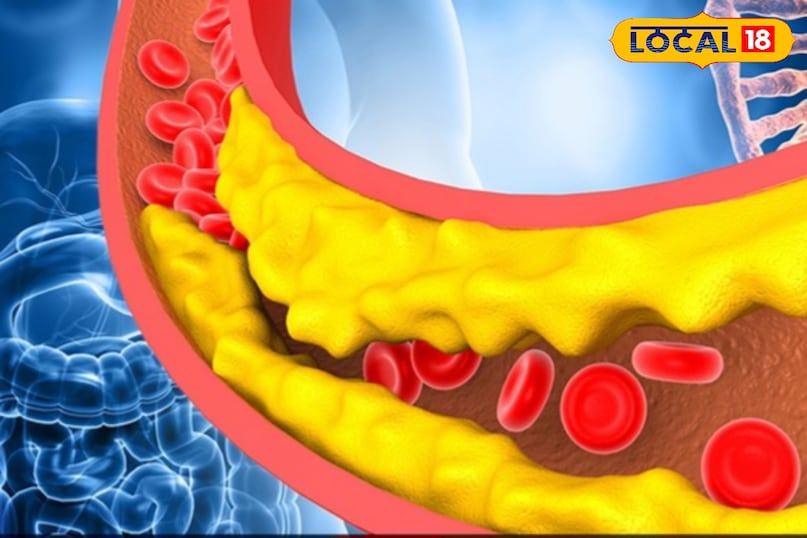 कोलेस्ट्रॉल पर नियंत्रण भिंडी में एक चिपचिपा पदार्थ होता है जो आंतों में जाकर खराब कोलेस्ट्रॉल LDL से चिपक जाता है और उसे शरीर से बाहर निकालने में मदद करता है। इससे दिल की सेहत अच्छी रहती है। 
