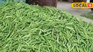 बेमौसम बारिश ने मटर और हरी सब्जियों को आम आदमी की थाली से किया दूर…आसमान छू रही कीमतें!