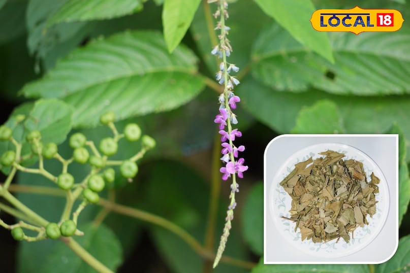 हेल्थ टिप्स 