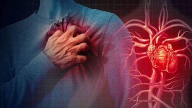 जानलेवा बना एसआईआर, बीएलओ के पास आया तहसीलदार का फोन, तनाव बढ़ा और 5 मिनट बाद आ गया हार्ट अटैक, निकल गई जान