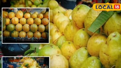 सेब जैसा दिखने वाला ‘गुलाबी अमरूद’ करौली में मचा रहा धूम, 60 क्विंटल रोज उड़ रहा माल!