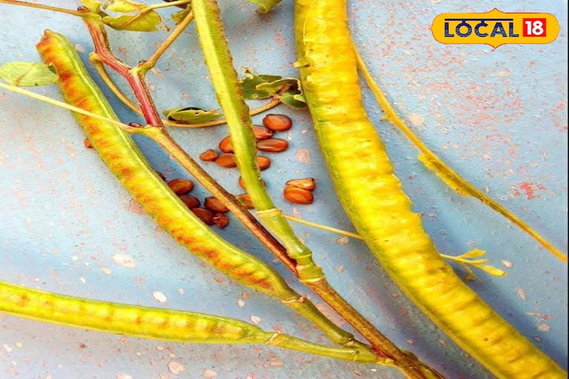 Health Tips Health Tips