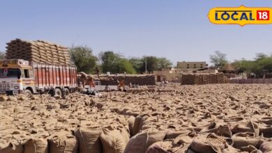 MSP Purchase Orders | Farmer MSP Update | Minimum Support Price 2025 | Government MSP Procurement | Crop Purchase Start Date | Agriculture News | Farmer Support Scheme