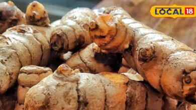 हेल्थ टिप्स: सर्दियों में बेस्ट इम्यूनिटी बूस्टर है कच्ची हल्दी, ऐसे करें सेवन और रहें हमेशा सेहतमंद - Rajasthan News
