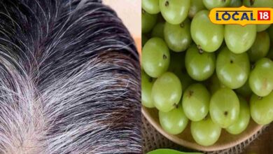 हेयर केयर टिप्स: सफेद बालों से परेशान? आंवला देगा प्राकृतिक रंग और नई ग्रोथ, जानें उपयोग का सही तरीका - Rajasthan News