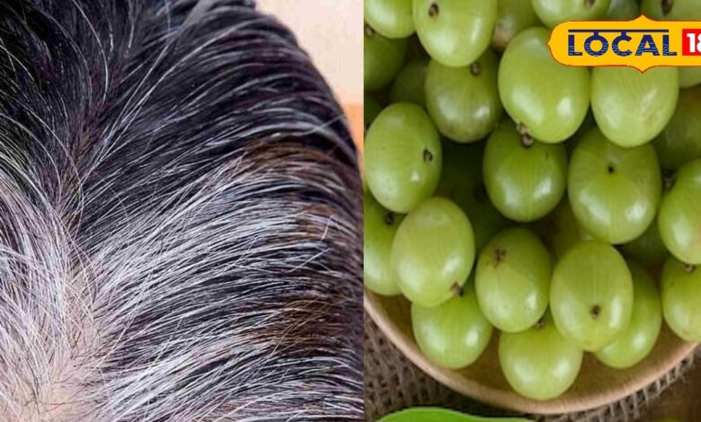 हेयर केयर टिप्स: सफेद बालों से परेशान? आंवला देगा प्राकृतिक रंग और नई ग्रोथ, जानें उपयोग का सही तरीका - Rajasthan News