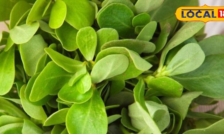 Kulfa Saag Recipe | Omega-3 Rich Foods | Healthy Green Saag | Kulfa Health Benefits | Winter Special Saag | Easy Cooking Recipe