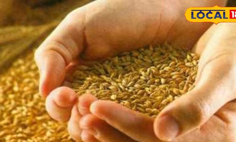 सीकर: NFSA सत्यापन में 2.47 हेक्टेयर से अधिक भूमि वाले किसानों की जांच