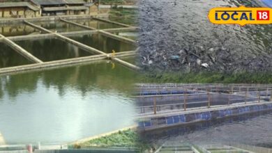 Fish Farming Winter Tips | Winter Fish Farming Guide | Cold Season Fish Growth | Macher Palan Sardi Tips | Fish Farming Golden Chance